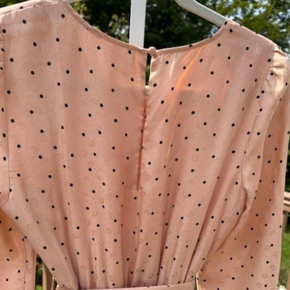 Sezane Justine Silk L/S Midi Dress - Picture 4 of 6